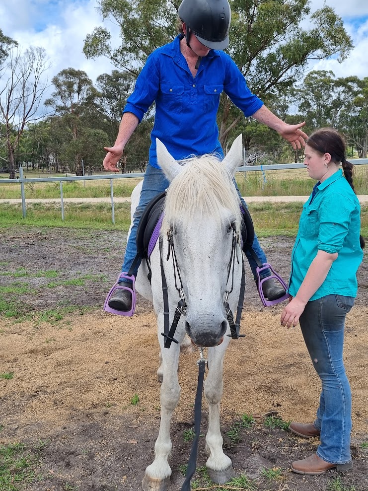Hands On Horses Australia | 82 Border Gate Rd, Cottonvale QLD 4375, Australia | Phone: 0417 579 264
