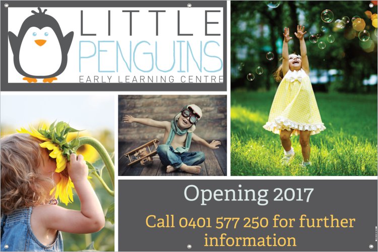 Little Penguins Early Learning Centre | school | 98 Fullagar Cres, Higgins ACT 2615, Australia | 1300385207 OR +61 1300 385 207