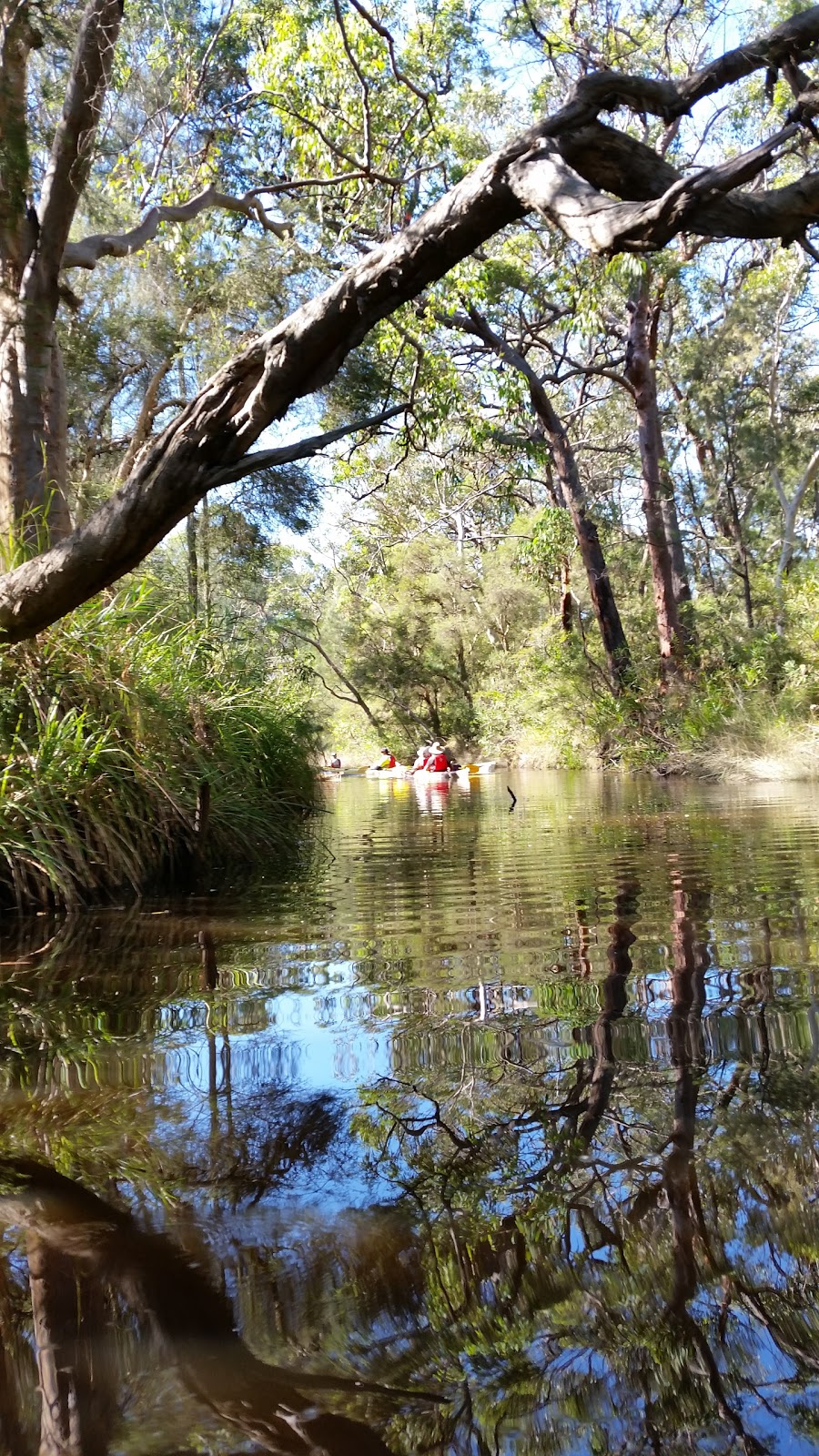 Bamayi (Spring Creek) Reserve | park | Blue Haven Community Hall, 14 Waterhen Cl, Blue Haven NSW 2262, Australia