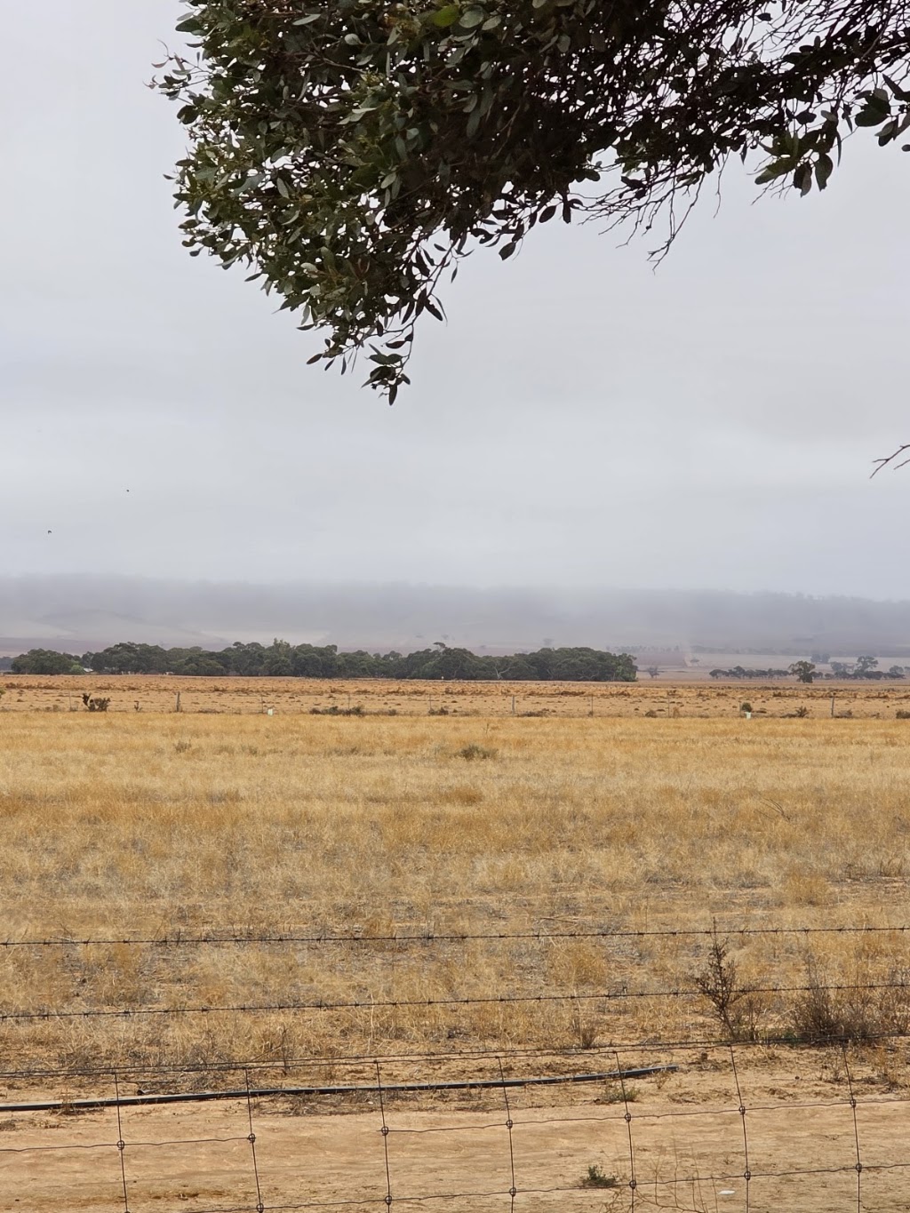 Robertstown Oval Campground | Worlds End Hwy, Robertstown SA 5381, Australia | Phone: (08) 8581 7209