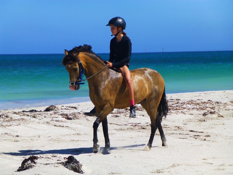 Bonsai Jacks Horse Riding School and Pony Stud | 207 Hall Rd, Waggrakine WA 6530, Australia | Phone: 0439 714 457