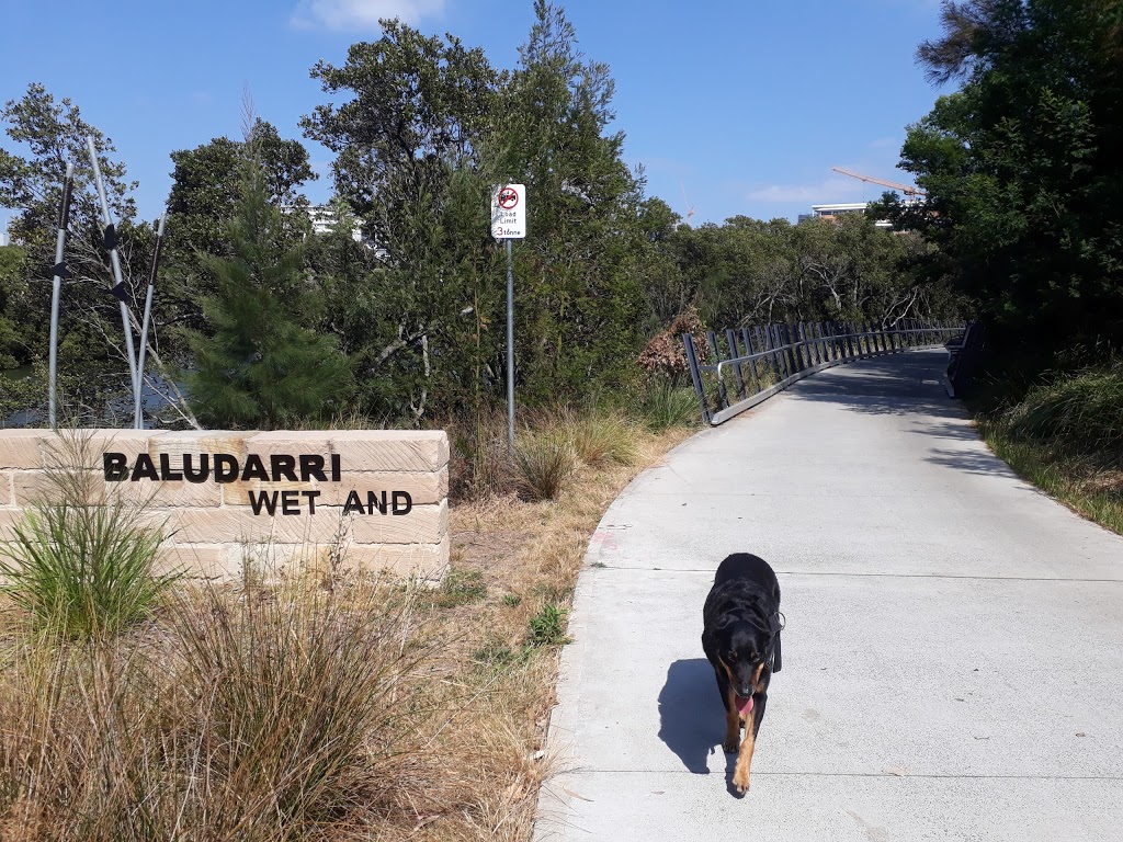 Baludarri Wetland | park | 10 Pemberton St, Parramatta NSW 2150, Australia | 0298065140 OR +61 2 9806 5140