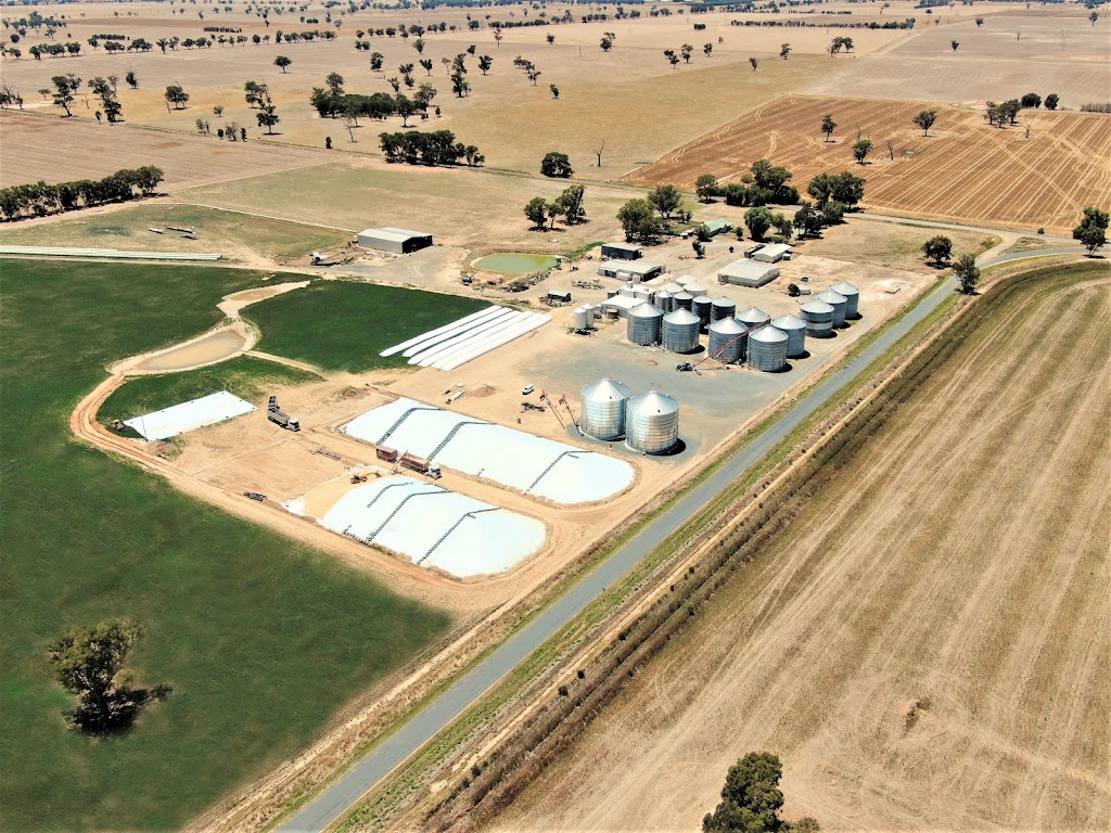 Brahman Commodities | 15 Reapers Rd, Culcairn NSW 2660, Australia | Phone: 0435 855 108