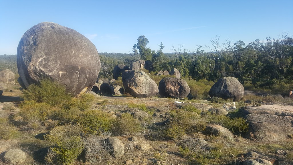 Midgegooroo National Park | Karragullen WA 6111, Australia | Phone: (08) 9290 6100