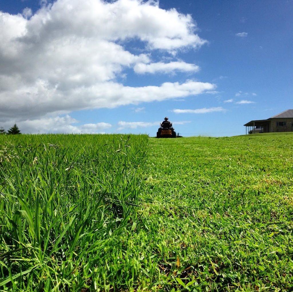 Woodberry Acreage Lawn Mowing |  | 62 Kamala Ct, Coopers Shoot NSW 2481, Australia | 0423223417 OR +61 423 223 417