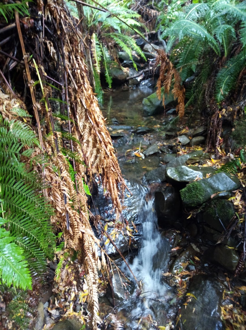 Oura Oura Private Conservation Reserve (Bush Heritage Australia) | park | Gulf Rd, Liffey TAS 7301, Australia | 1300628873 OR +61 1300 628 873