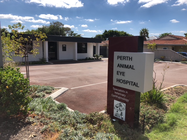 Perth Animal Eye Hospital | 18 Bradshaw Cres, Manning WA 6152, Australia | Phone: (08) 6110 1616