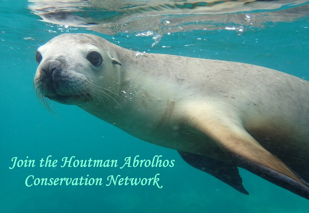 Houtman Abrolhos Conservation Network | Gregory St, Beachlands WA 6530, Australia | Phone: 0448 557 681