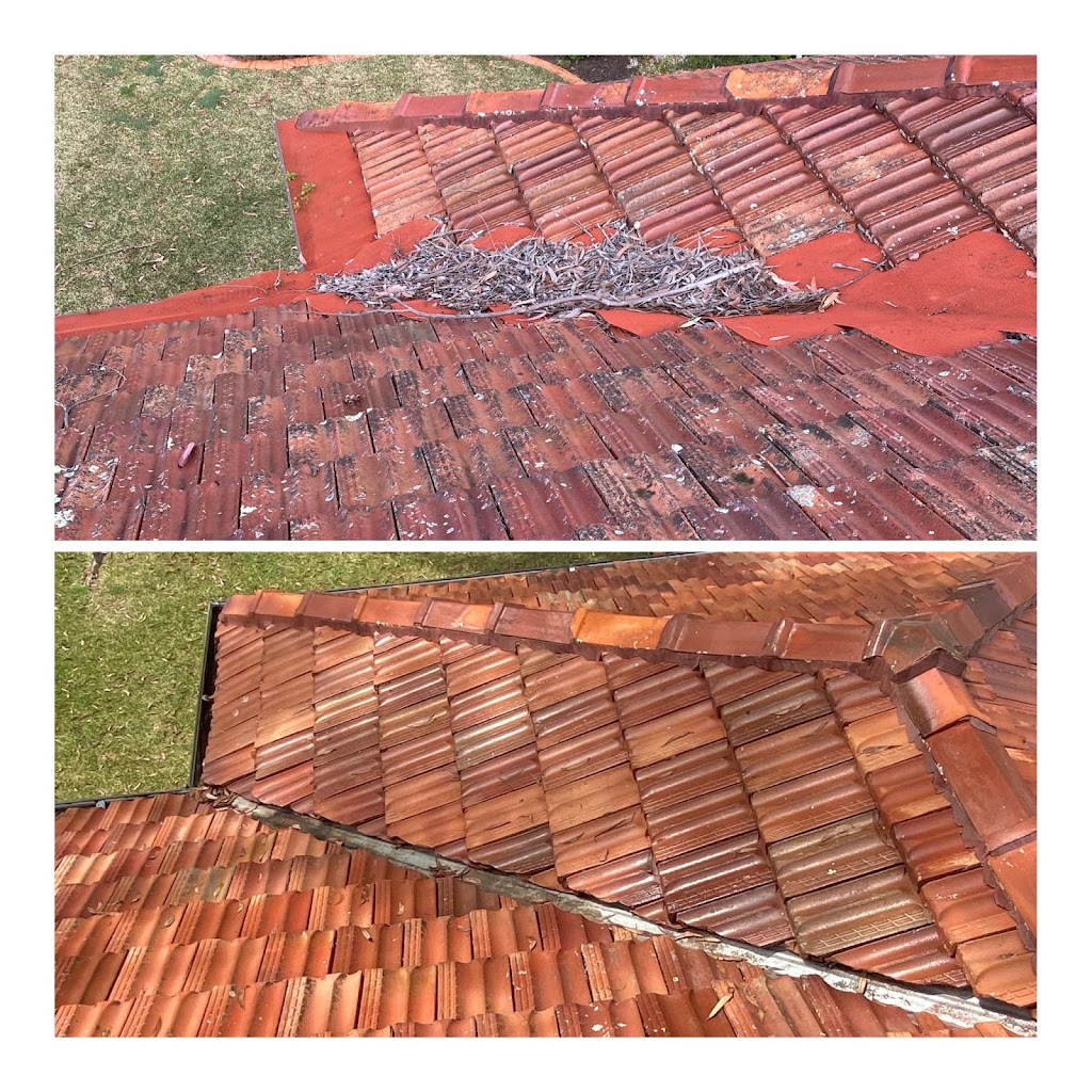 ProWash Gutter & Roof Cleaning PTY LTD | 80 Wilson Parade, Heathcote NSW 2233, Australia | Phone: 0450 965 706