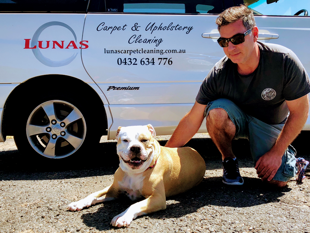 Lunas Carpet and Upholstery Cleaning | laundry | Bateau Bay NSW 2261, Australia | 0432634776 OR +61 432 634 776