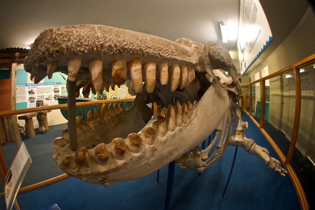 Eden Killer Whale Museum | museum | 184 Imlay St, Eden NSW 2551, Australia | 0264962094 OR +61 2 6496 2094