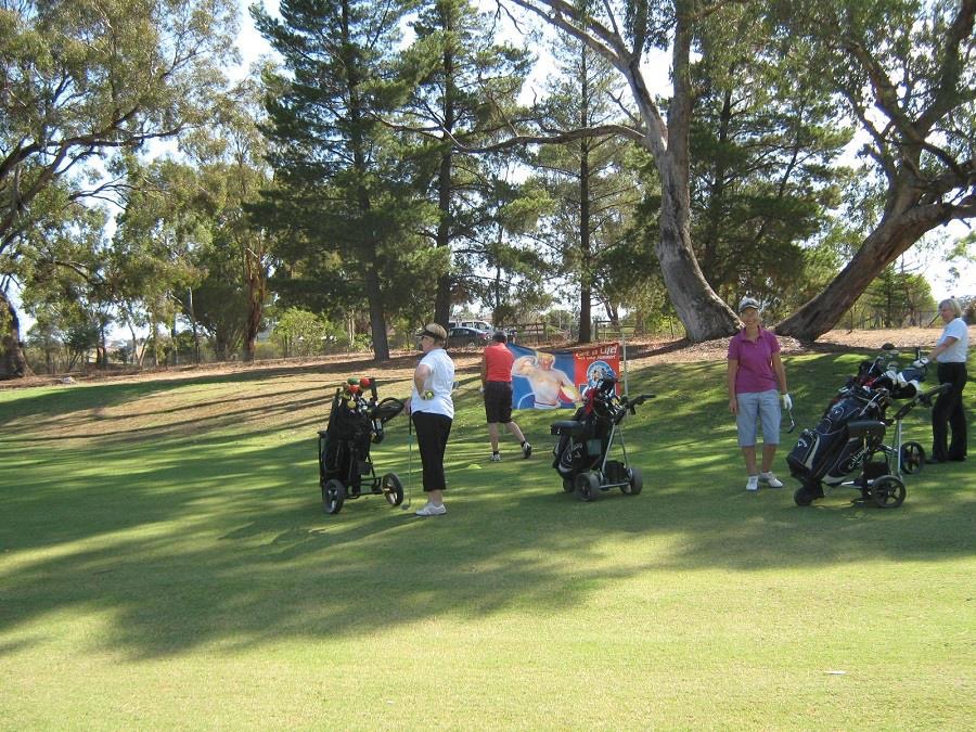 B Performance & Pro Shop | 77 Belvoir Park Rd, Ravenswood VIC 3453, Australia | Phone: (03) 5435 3370