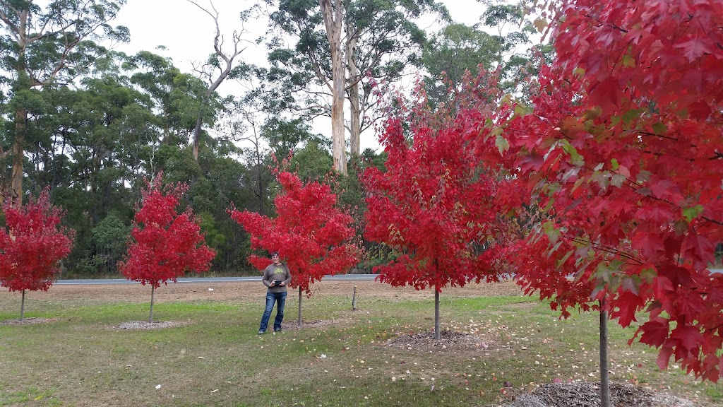 Southern Forest Machinery |  | 11320 Mottram St, S Western Hwy, Manjimup WA 6258, Australia | 0897772100 OR +61 8 9777 2100