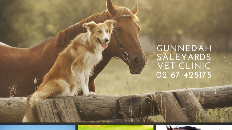 Gunnedah Saleyards Vet Clinic | veterinary care | 3/7 Kamilaroi Hwy, Gunnedah NSW 2380, Australia | 0267425175 OR +61 2 6742 5175