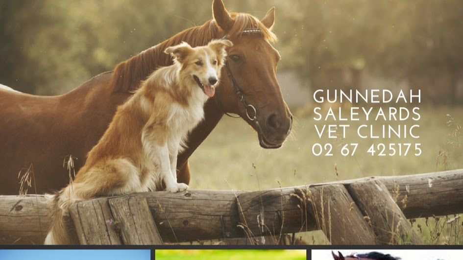 Gunnedah Saleyards Vet Clinic | 3/7 Kamilaroi Hwy, Gunnedah NSW 2380, Australia | Phone: (02) 6742 5175