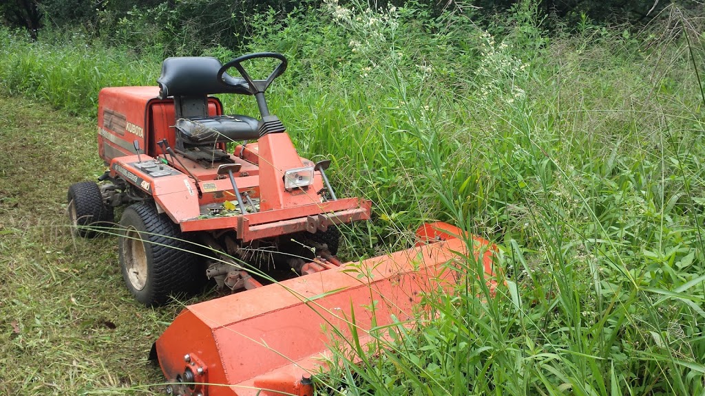 BSB Slashing & Loader Services | 50 Seib Rd, Eumundi QLD 4562, Australia | Phone: 0422 190 993