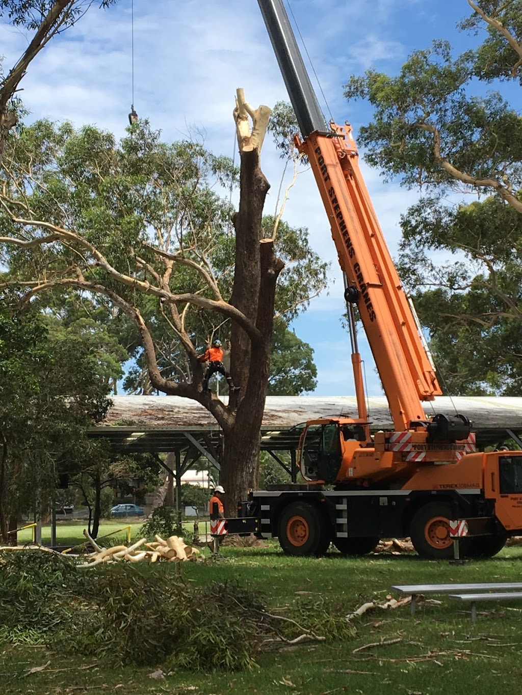 Branch Management Total Tree Services - Newcastle Tree Removal | 121 Dudley Rd, Charlestown NSW 2290, Australia | Phone: 0419 289 223