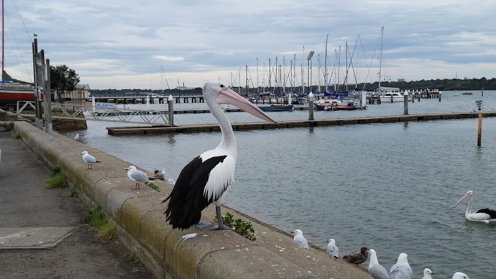 Hastings Boat Ramp | Marine Parade, Hastings VIC 3915, Australia | Phone: 1300 850 600