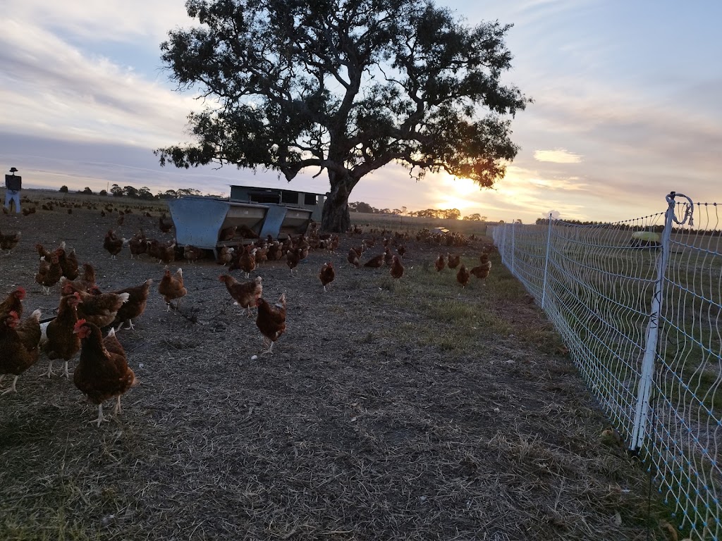 Freshwater Free Range | 2150 Barrabool Rd, Mount Moriac VIC 3240, Australia | Phone: 0493 355 131