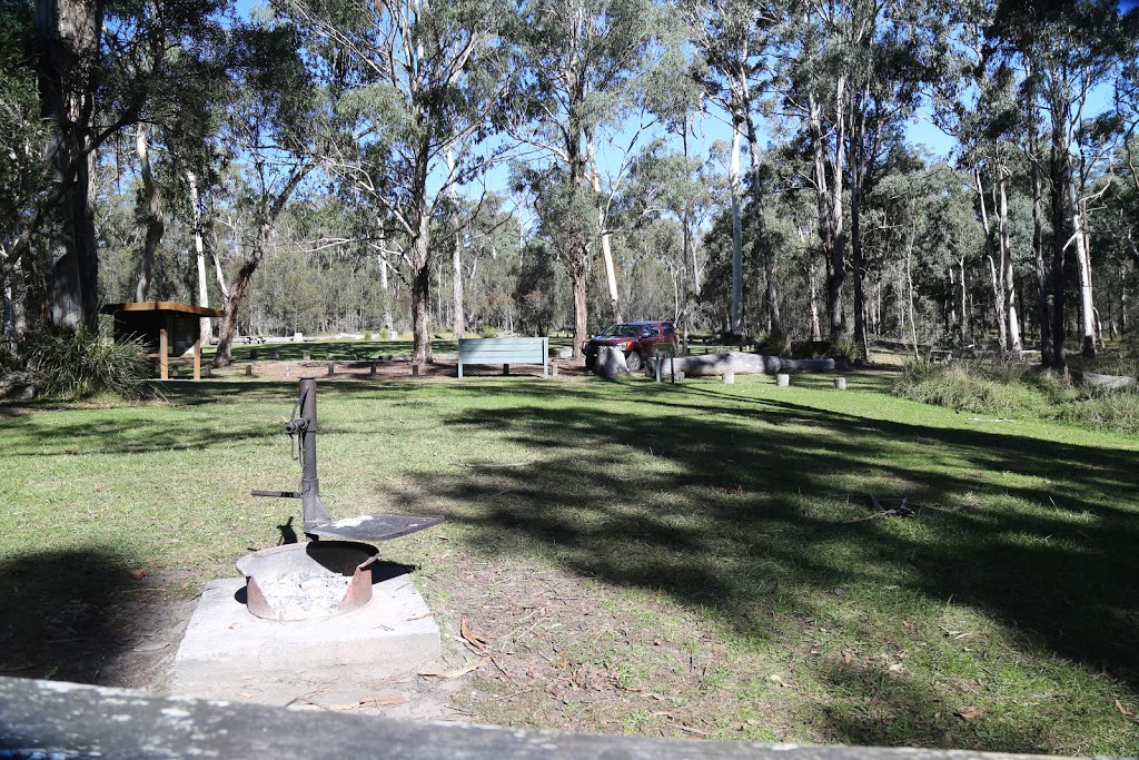 Chaelundi campground | campground | Misty Creek Road, The Gulf NSW 2365, Australia | 0266572309 OR +61 2 6657 2309