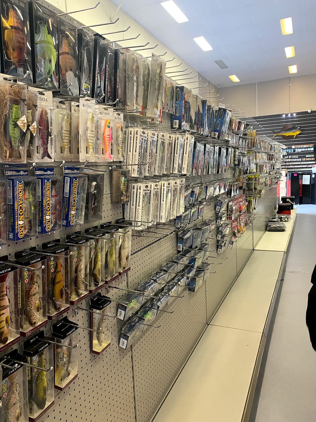 Bait Tackle Store | shop D/5/15 Lapis St, Underwood QLD 4119, Australia | Phone: (07) 3299 4838