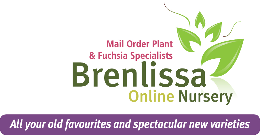 Brenlissa Online Nursery | 862 Midland Hwy, Mount Rowan VIC 3352, Australia | Phone: 0438 393 578