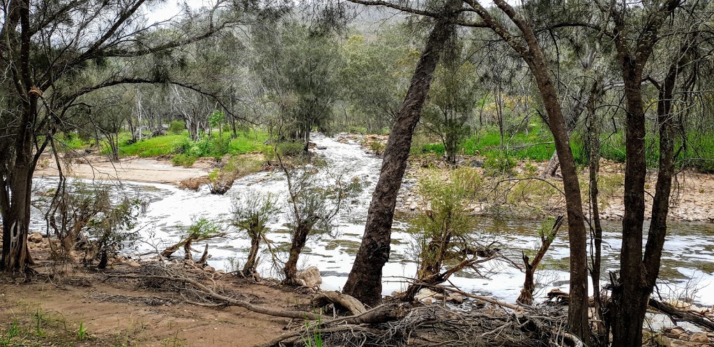 Walyunga National Park | park | Walyunga Rd, Bullsbrook WA 6084, Australia | 0892906100 OR +61 8 9290 6100