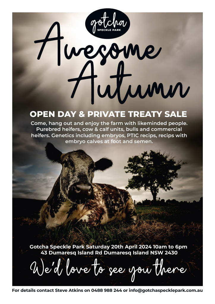 Gotcha Speckle Park | 43 Dumaresq Island Rd, Dumaresq Island NSW 2430, Australia | Phone: 0488 988 244