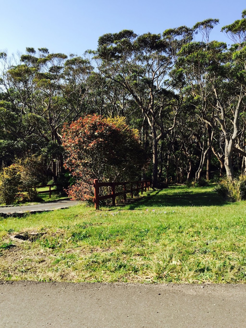 Baird Park | park | Lower Coast Rd, Ryde NSW 2508, Australia | 0299528222 OR +61 2 9952 8222