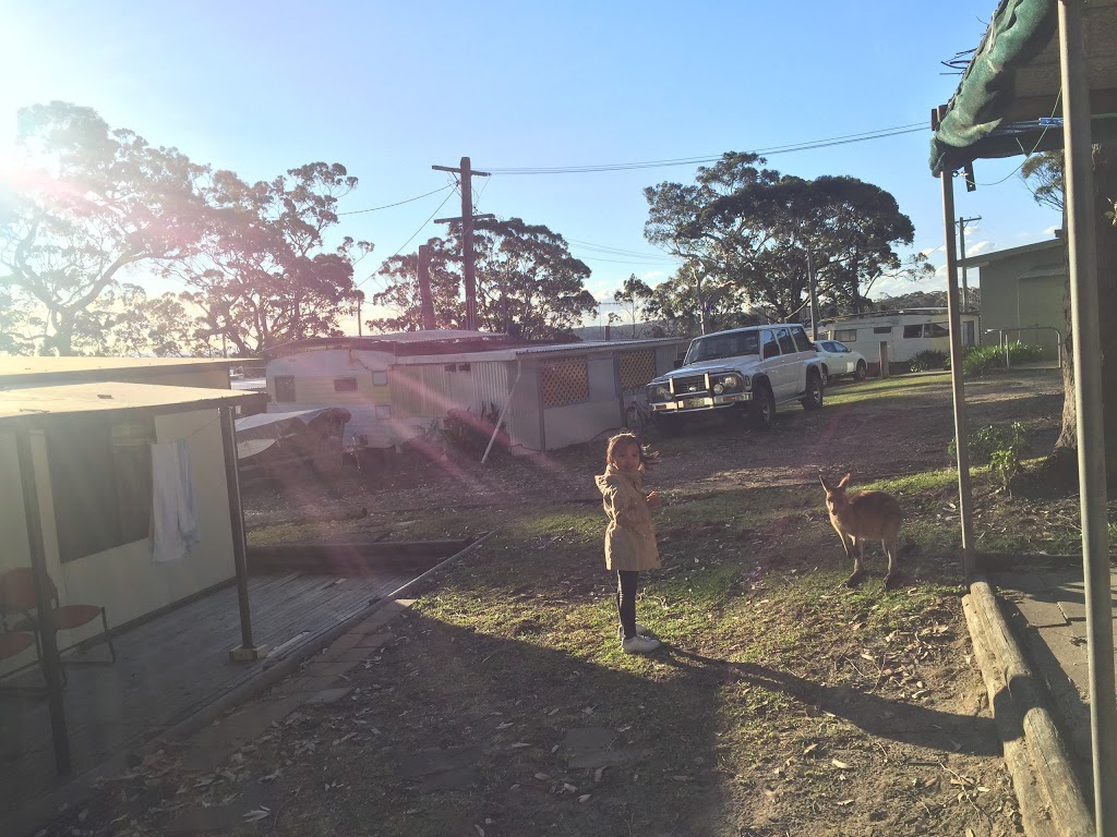 Bream Beach Holiday Park | rv park | 66 Wrights Beach Rd, Bream Beach NSW 2540, Australia | 0244430373 OR +61 2 4443 0373