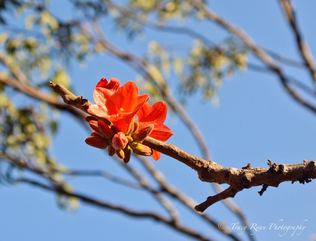 Mary River National Park | Point Stuart Rd, Point Stuart NT 0822, Australia | Phone: (08) 8978 8986