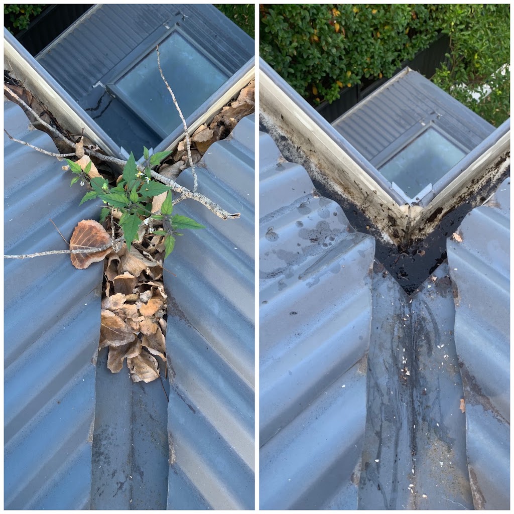 Golden Leaf Gutter Cleaning | 66 Victoria St, Malabar NSW 2036, Australia | Phone: 0402 714 996