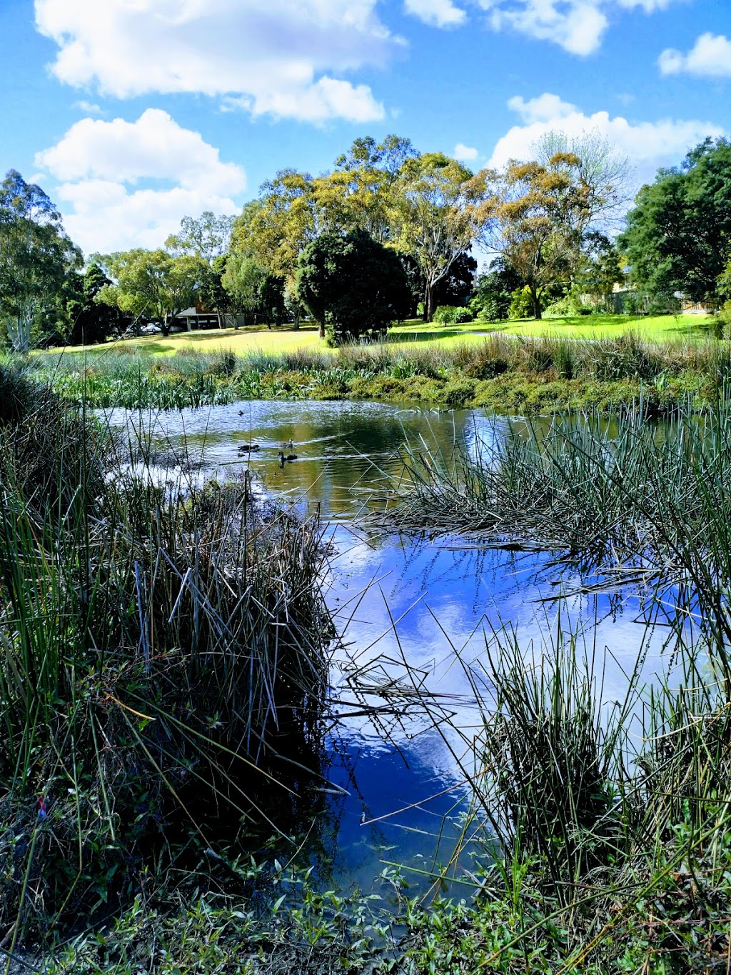 Waverley Road Basin | park | Scotchmans Creek Trail, Mount Waverley VIC 3149, Australia