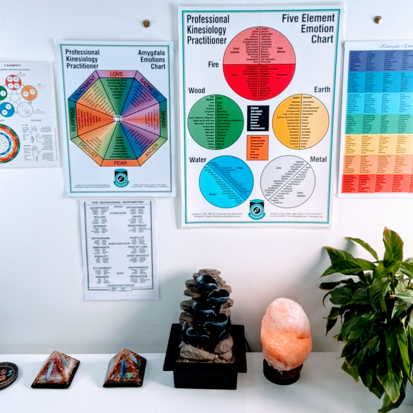 Sydney Kinesiology, Innate Balance | 741 Old South Head Rd, Vaucluse NSW 2030, Australia | Phone: 0435 039 855