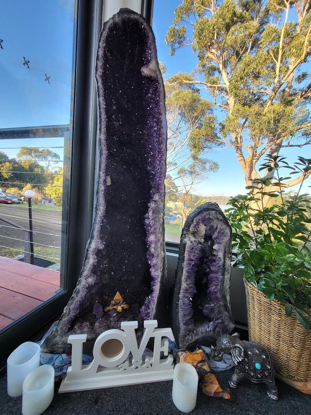 Tas Grace Sanctuary | 1583 Nubeena Rd, Nubeena TAS 7184, Australia | Phone: 0412 190 909