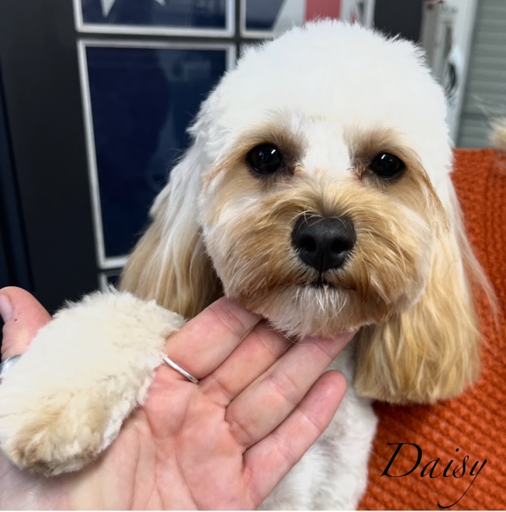 Dogs Lane Grooming Cooranbong | 43a Alton Rd, Cooranbong NSW 2265, Australia | Phone: 0421 763 307
