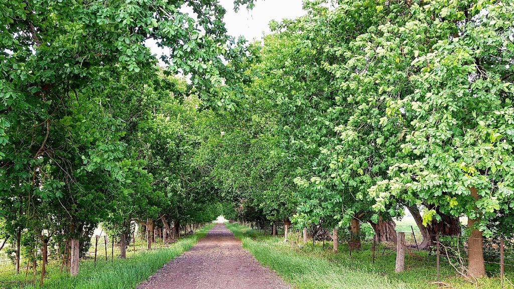 Farmer Robs Produce | food | 17 MacIntyre Ln, Yering VIC 3770, Australia | 0492477710 OR +61 492 477 710