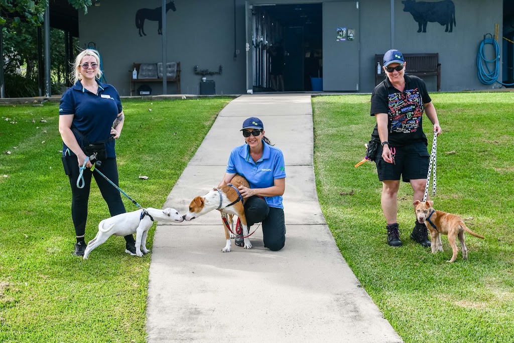 RSPCA Mackay | Mount Bassett Cemetery Rd &, Strickland Rd, Mackay Harbour QLD 4740, Australia | Phone: 0407 787 571