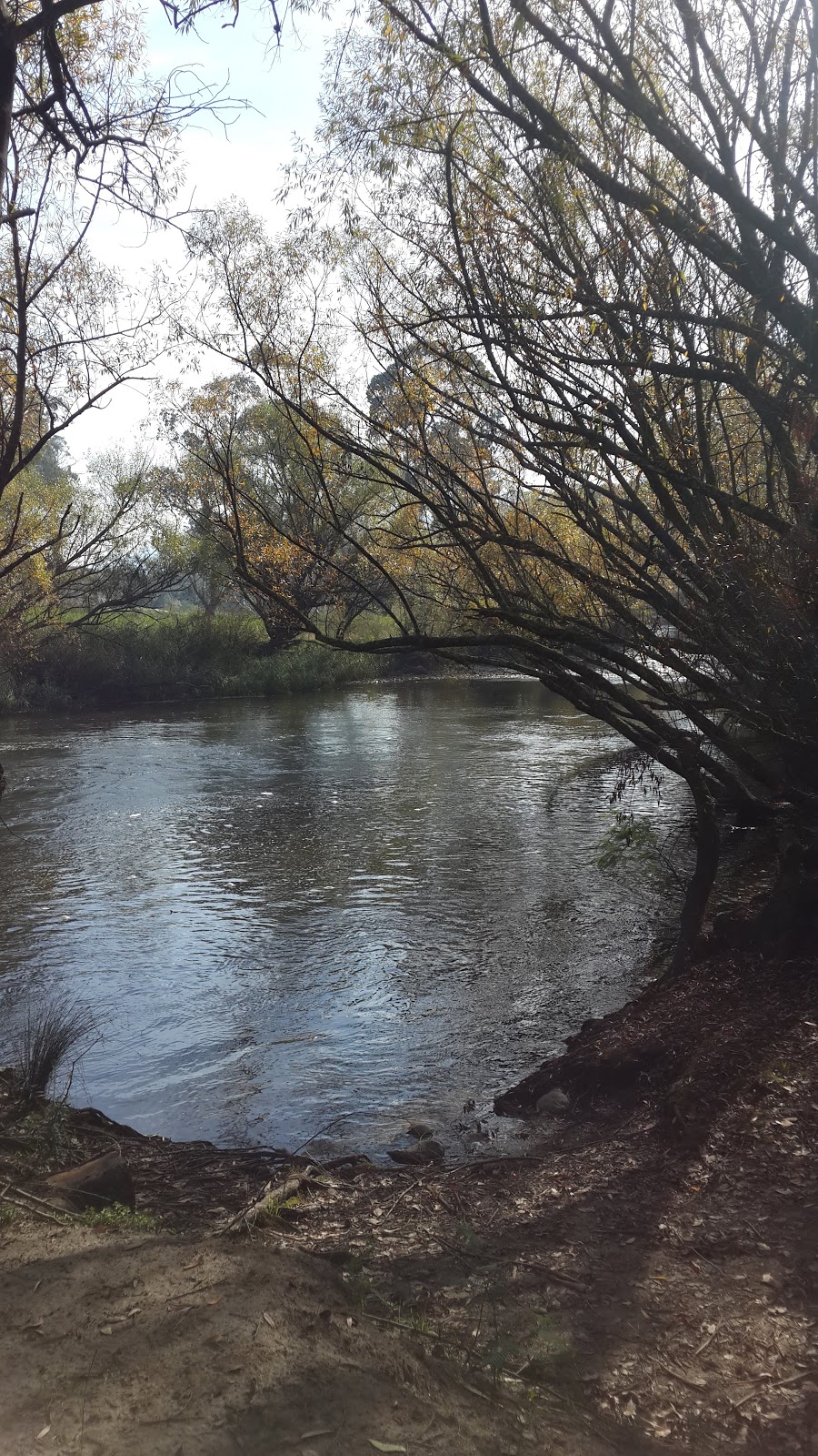 Briggs Bridge | park | Redbank Mongans Rd, Tawonga VIC 3697, Australia