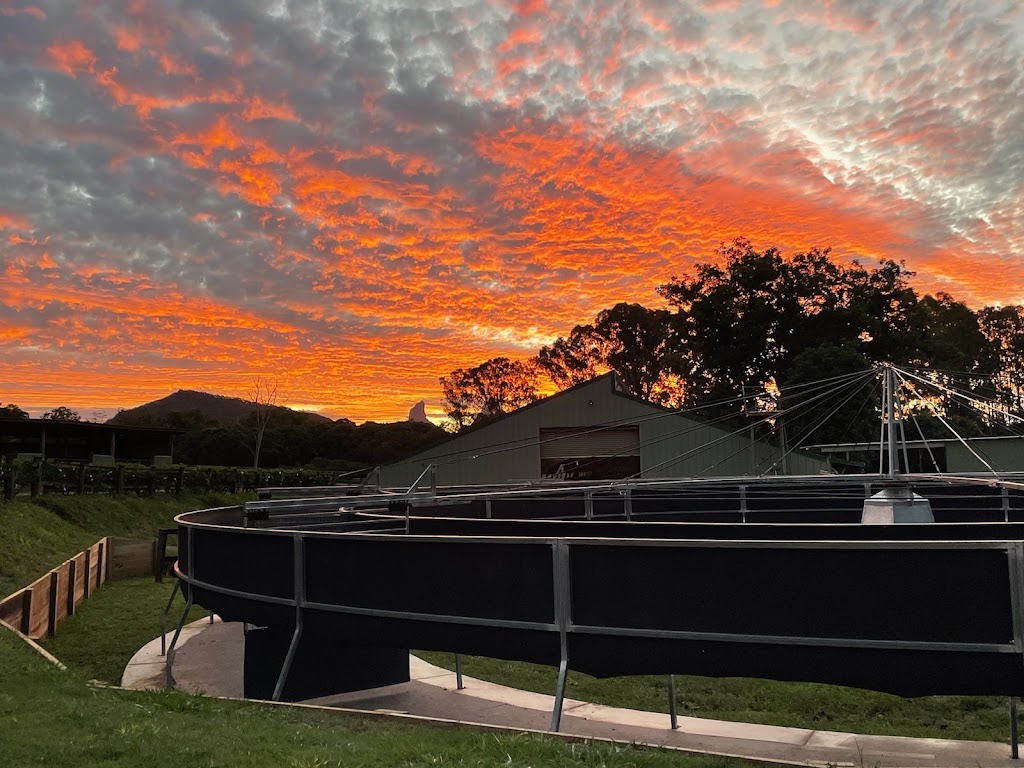 Embrace Farm | 1047 Steve Irwin Wy, Glass House Mountains QLD 4518, Australia | Phone: 0423 467 733