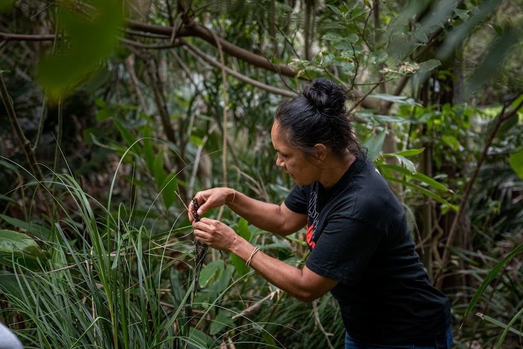 Explore Byron Bay Pty Ltd | Unit 3/10 Ironbark Ave, Byron Bay NSW 2481, Australia | Phone: 0467 277 669