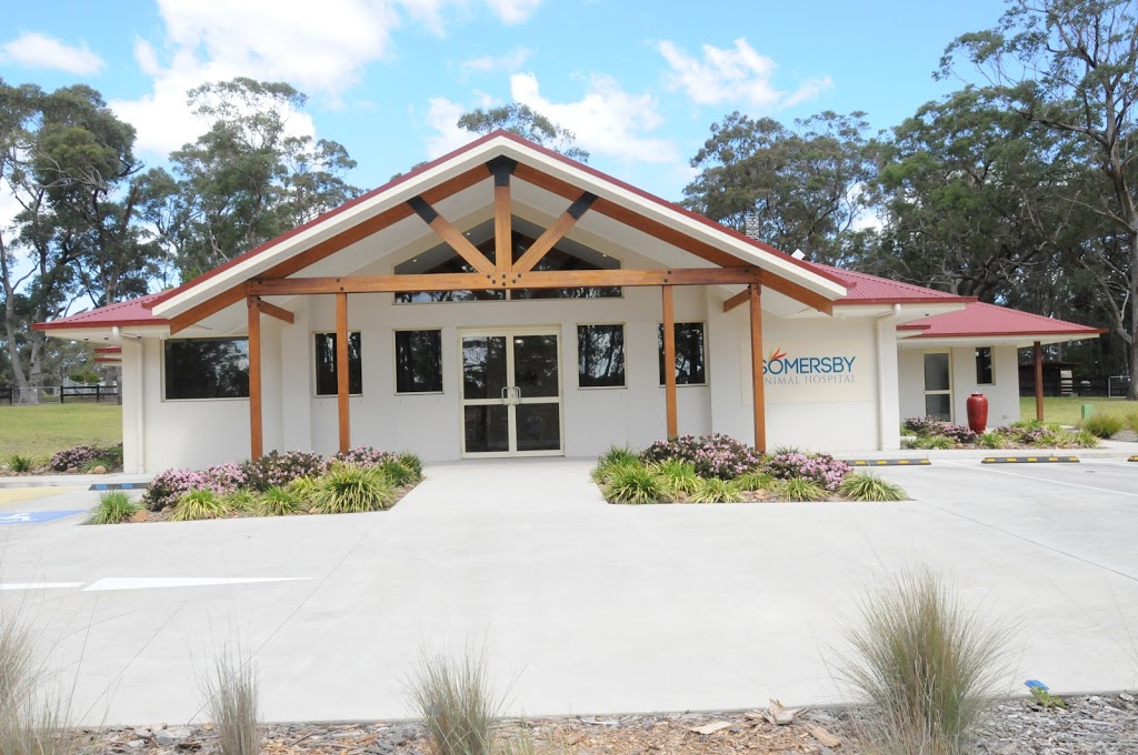 Somersby Animal Hospital | veterinary care | 79-b Howes Rd, Somersby NSW 2250, Australia | 0243721799 OR +61 2 4372 1799