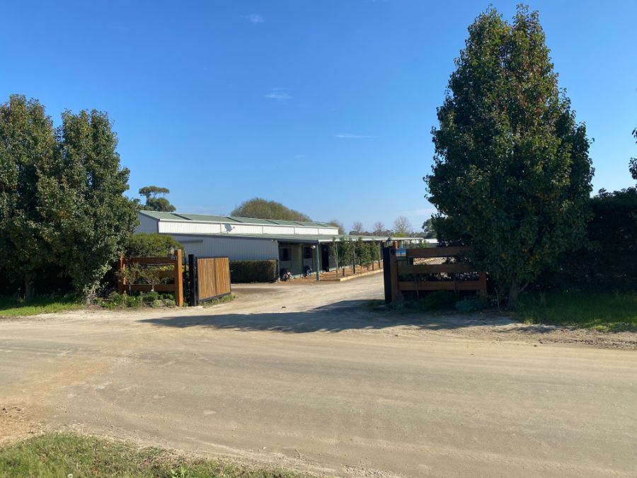 Lofty Thoroughbred Group Pty Ltd | 7/9 Laurie Cleary Ln, Cranbourne VIC 3977, Australia | Phone: 0413 123 711