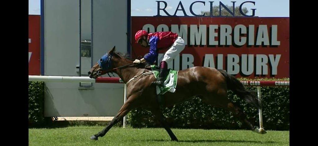 Stein Racing | 28 Racecourse Rd, Albury NSW 2640, Australia | Phone: 0418 141 579