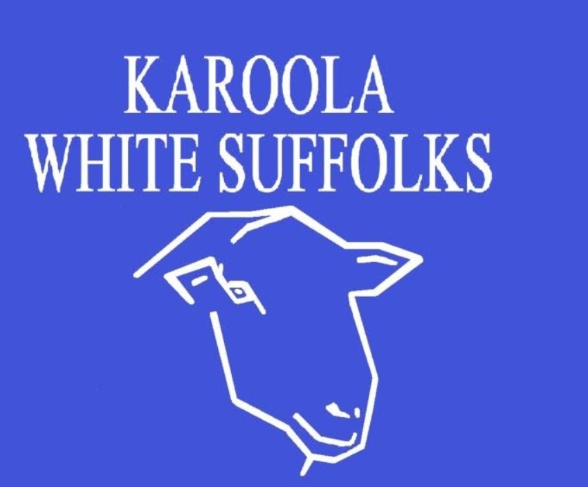 Karoola White Suffolk Stud | 24904 Mid Western Hwy, Hay NSW 2711, Australia | Phone: 0429 856 109