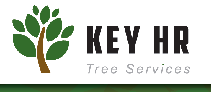 Key HR Tree Services |  | 15 Hugh Murray Dr, Colac East VIC 3250, Australia | 0476252115 OR +61 476 252 115