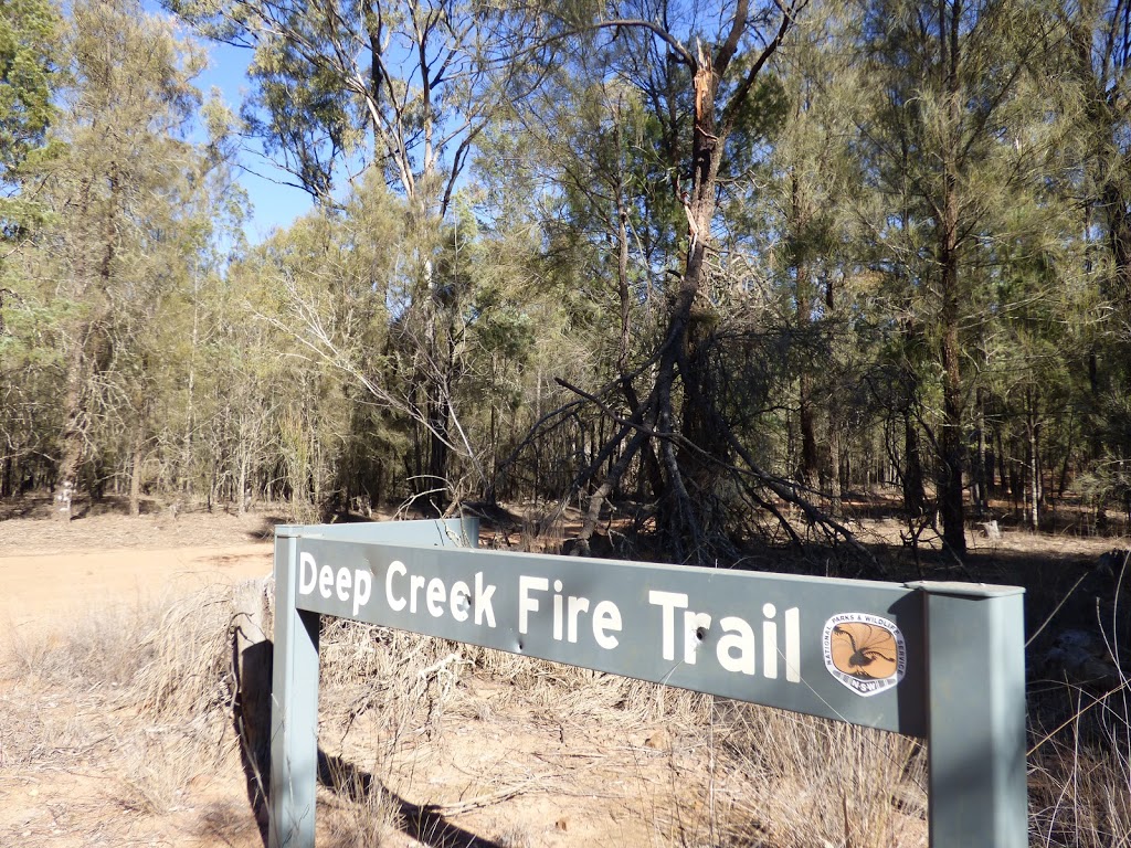 Beni Cca Zone 3 State Conservation Area | Dubbo NSW 2830, Australia