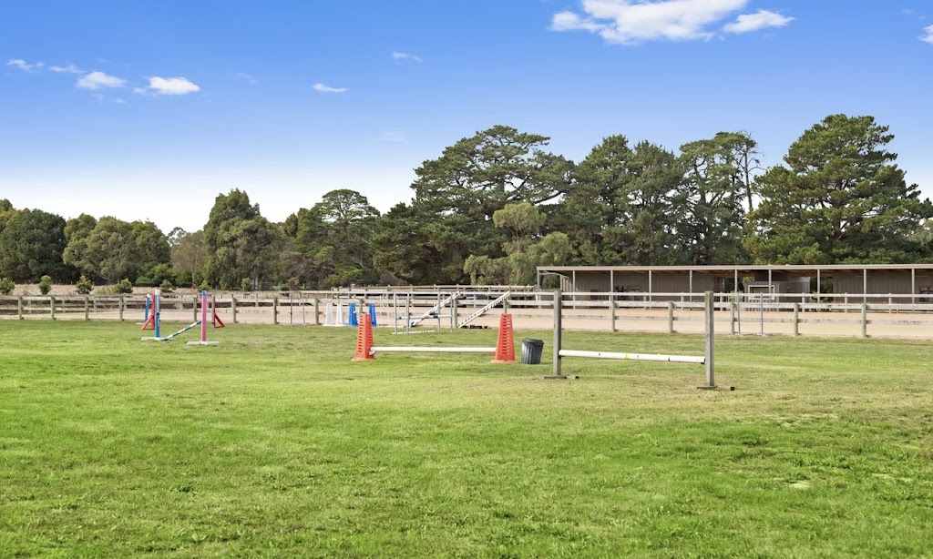 South Peninsula Stables | 177 Coolart Rd, Hastings VIC 3915, Australia | Phone: 0409 217 278