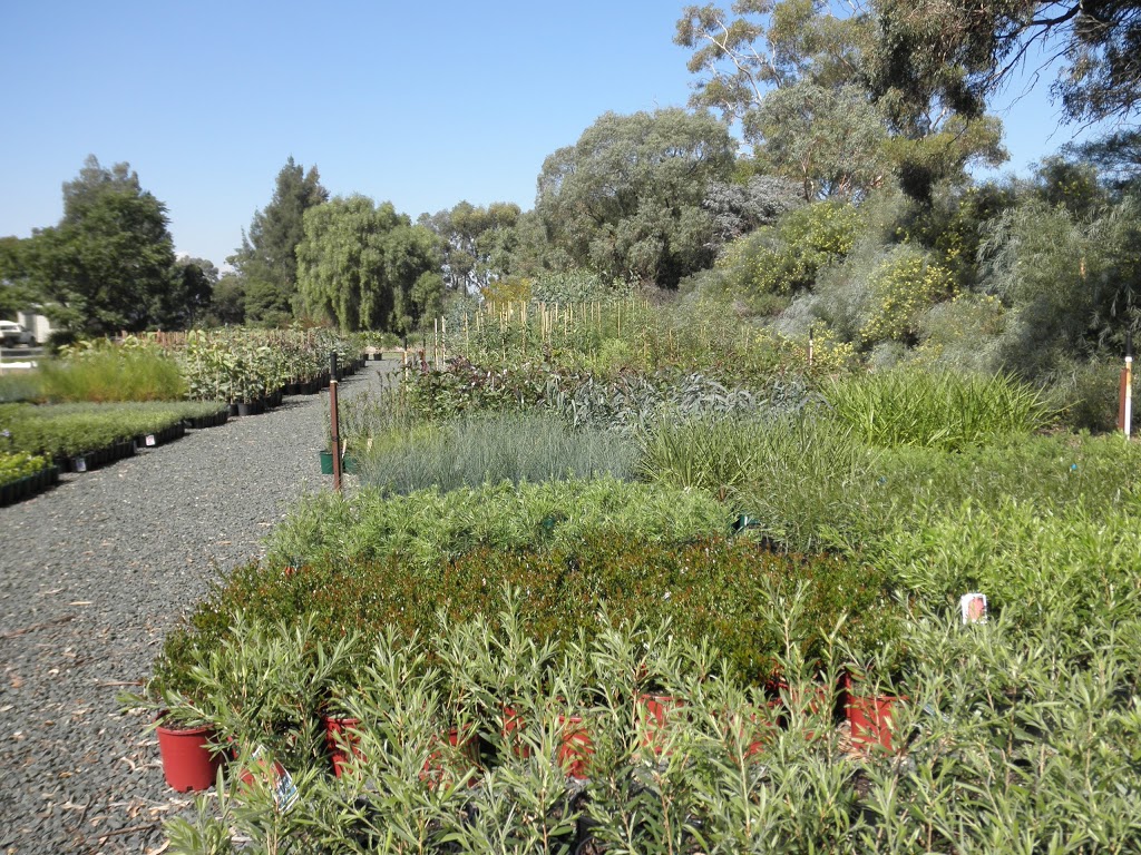 Rochester Nursery | 6708 Northern Hwy, Rochester VIC 3561, Australia | Phone: (03) 5484 3777