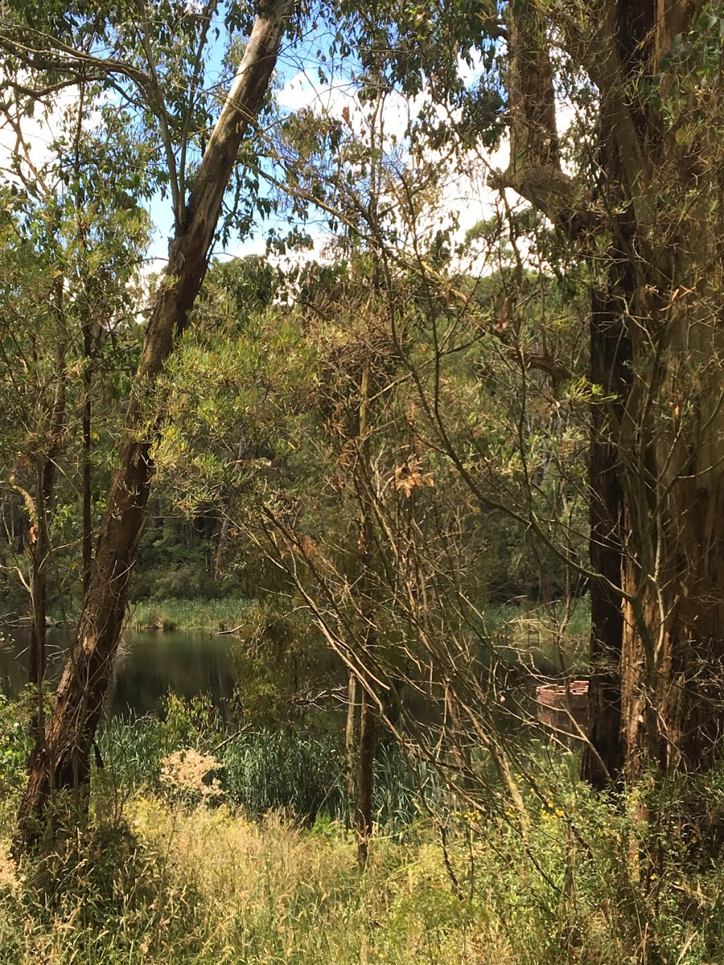 Henry Littledyke Reserve | park | 681 C434, Poowong VIC 3988, Australia